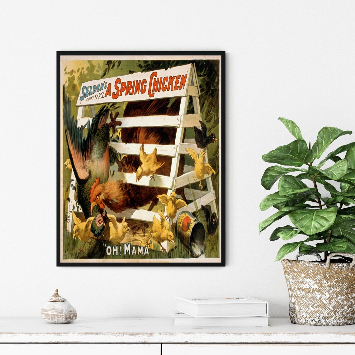 Selden's A Spring Chicken 1898 Vintage Theater Advertisement Poster - Image 3