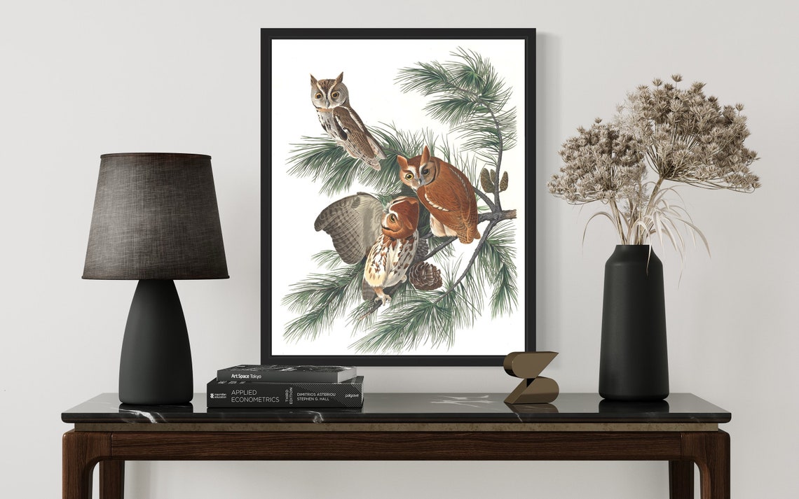 Three Screech Owls on Pine Branch Vintage Wildlife Art Print - Image 3