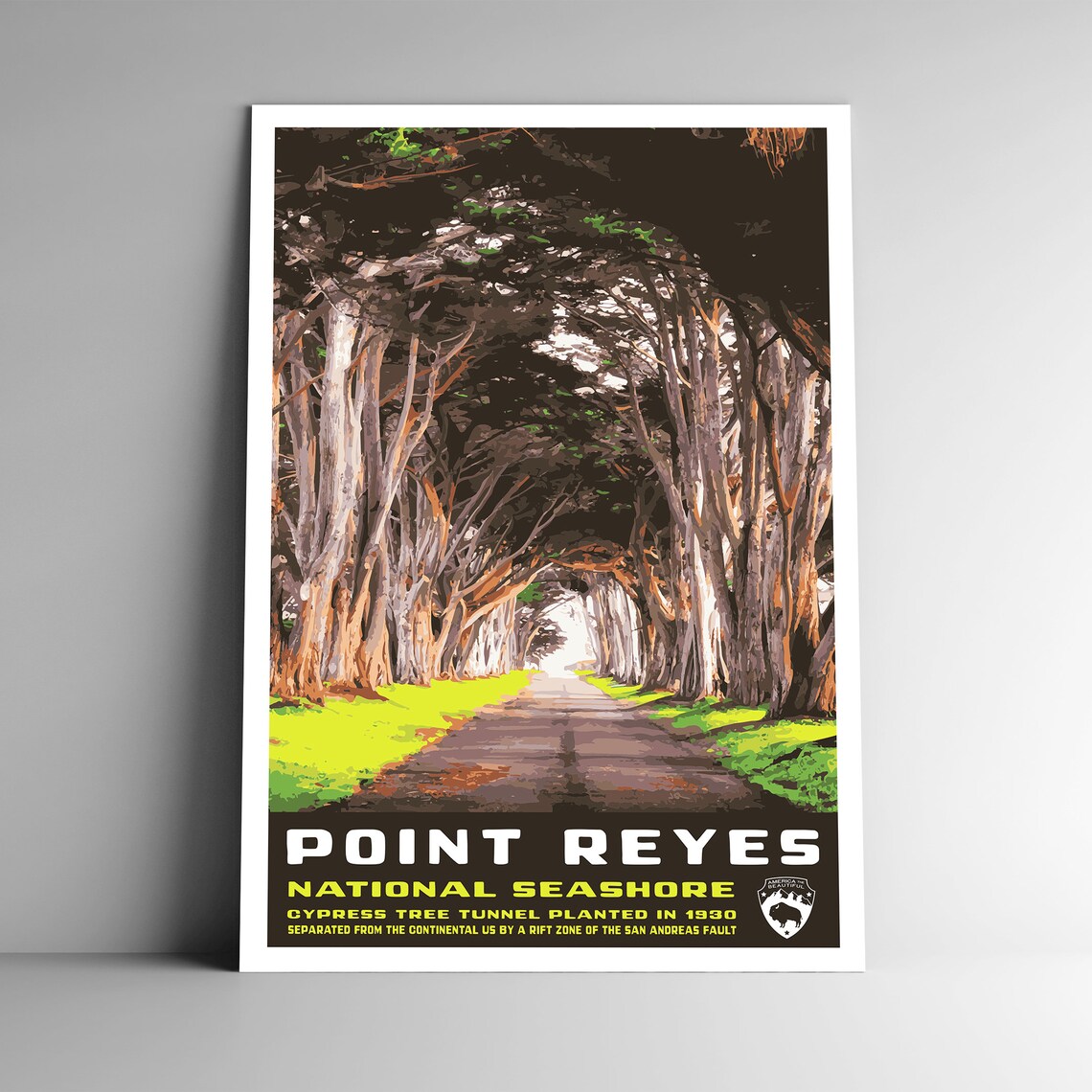 Point Reyes National Seashore Vintage Travel Poster