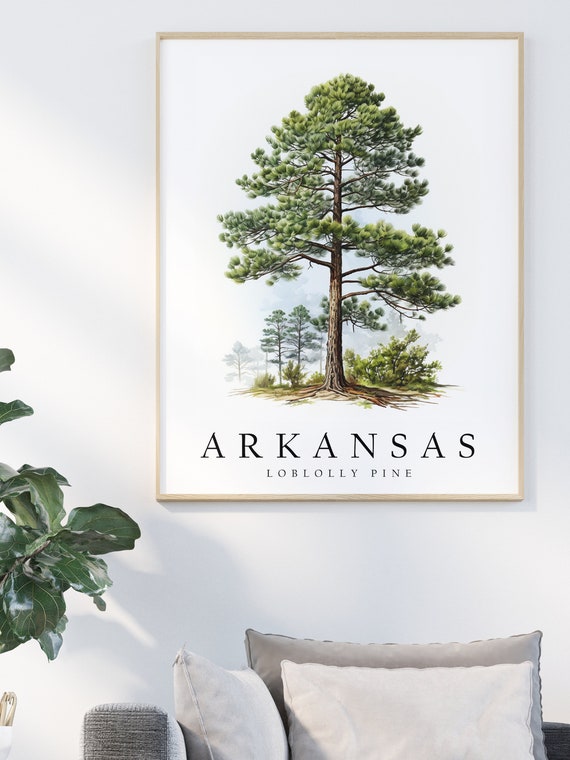 Loblolly Pine, Arkansas State Tree Art Print