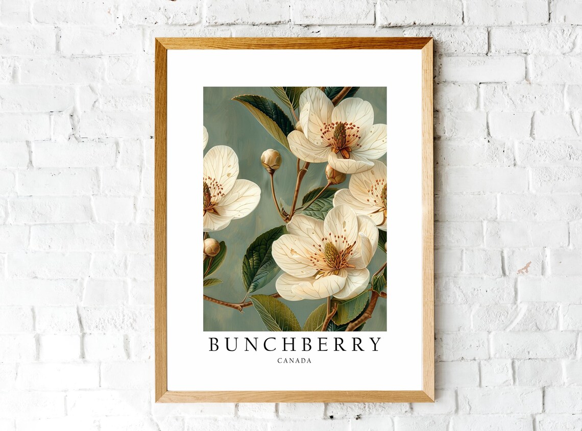 Bunchberry Canada National Flower Travel Poster