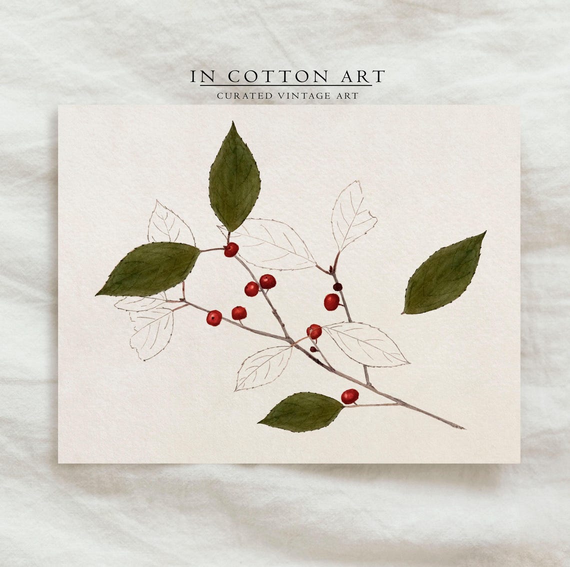 Winterberry Botanical Watercolor Red Berries Branch Study Art Print