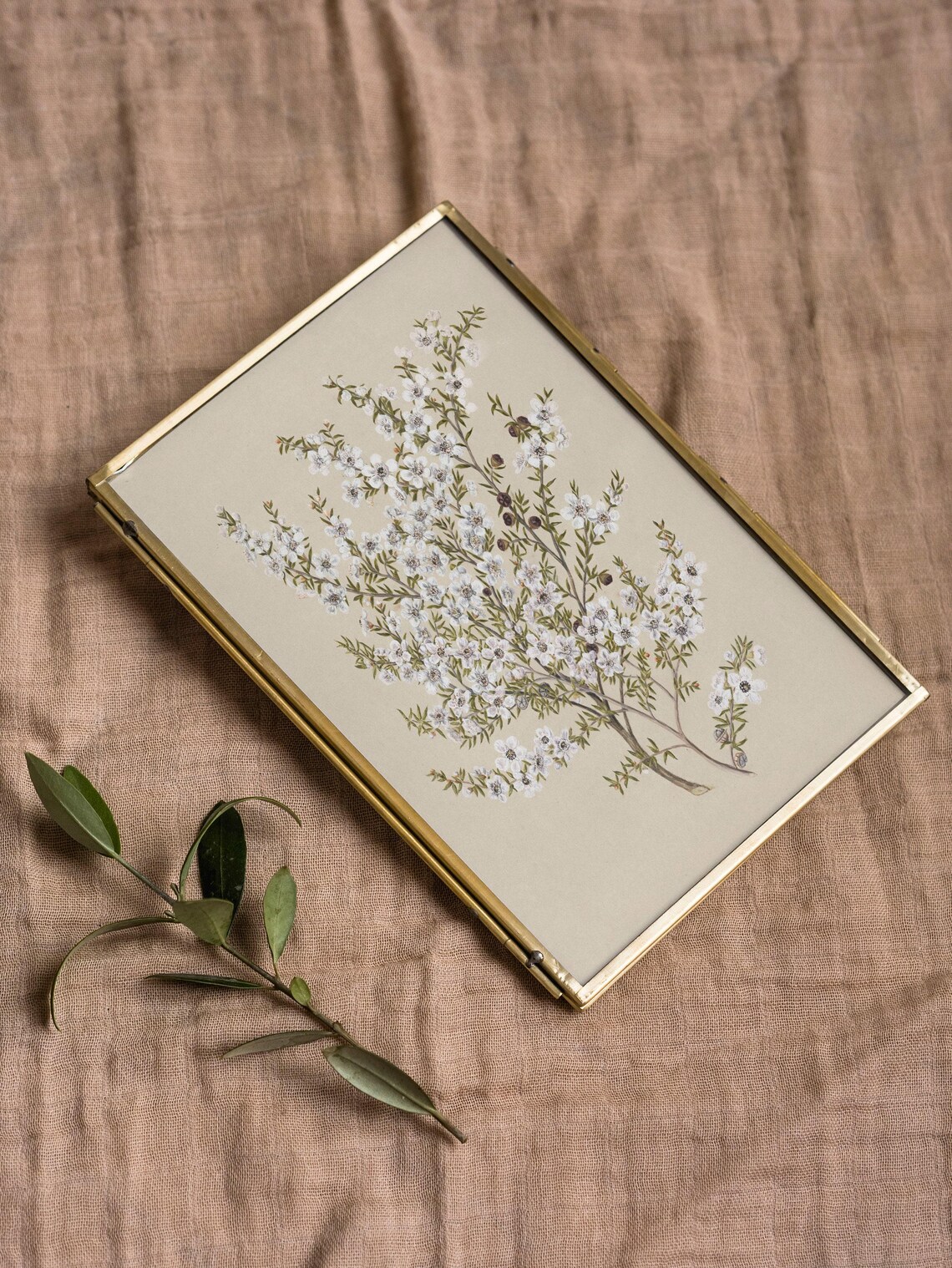Vintage Botanical White Flower, French Country Art Print - Image 2