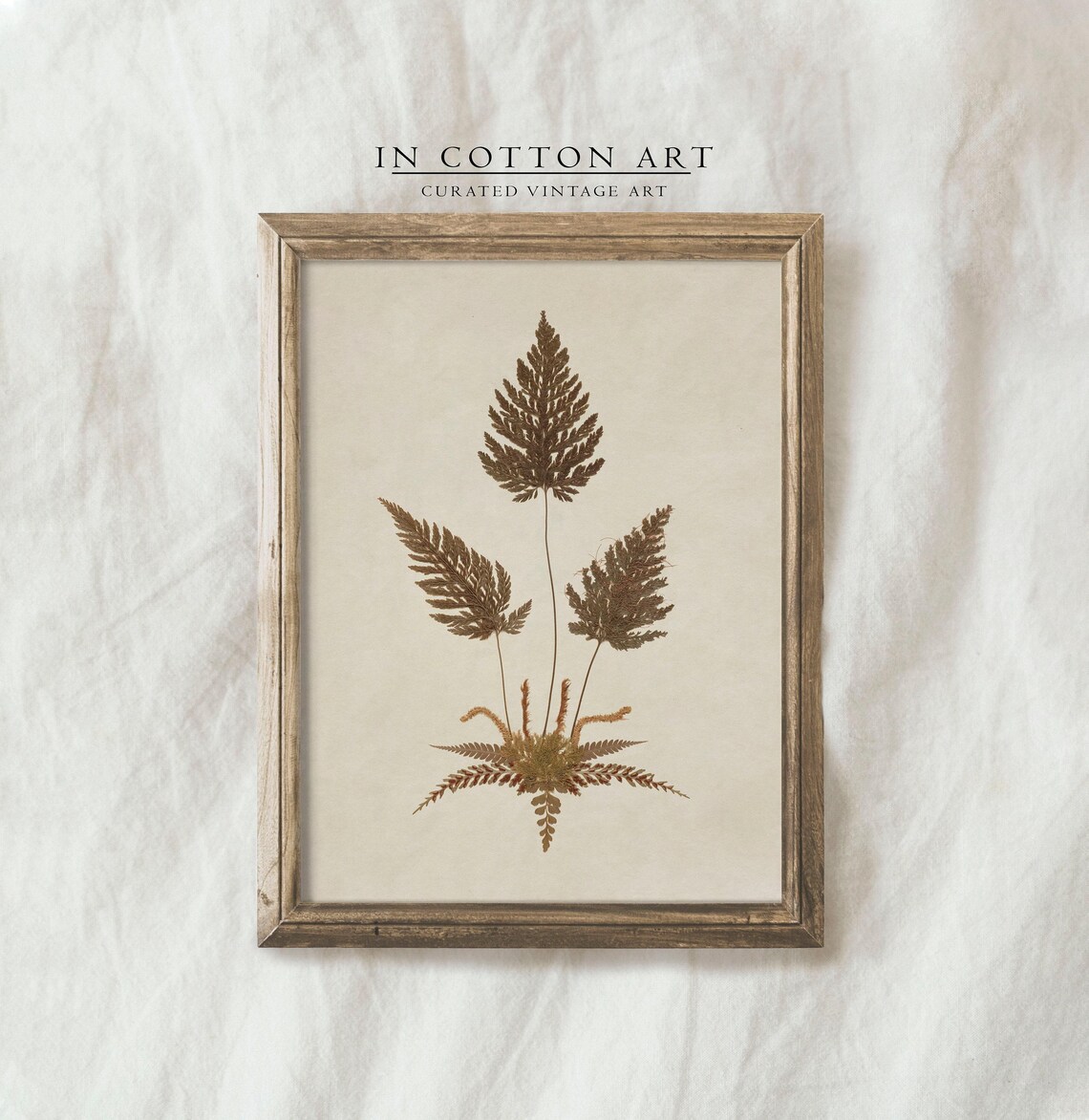 Antique Neutral Fern, Vintage Botanical Art Print - Image 4