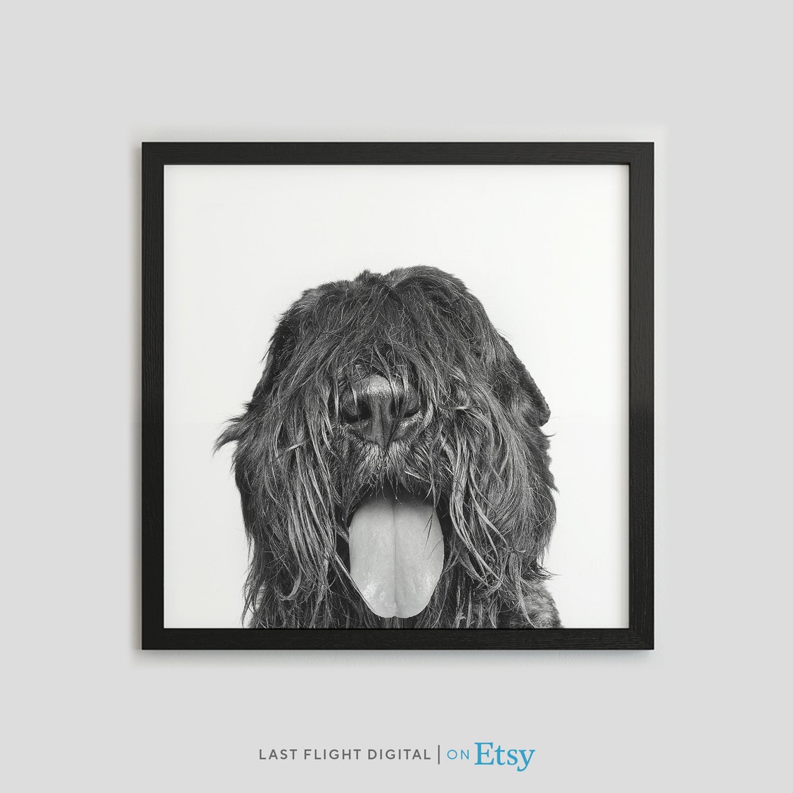 Dog Print Bouvier Des Flandres Dog Poster Puppy Print Puppy Poster Kids Room Nursery Black White Photo Bouvier Print Bouvier Poster