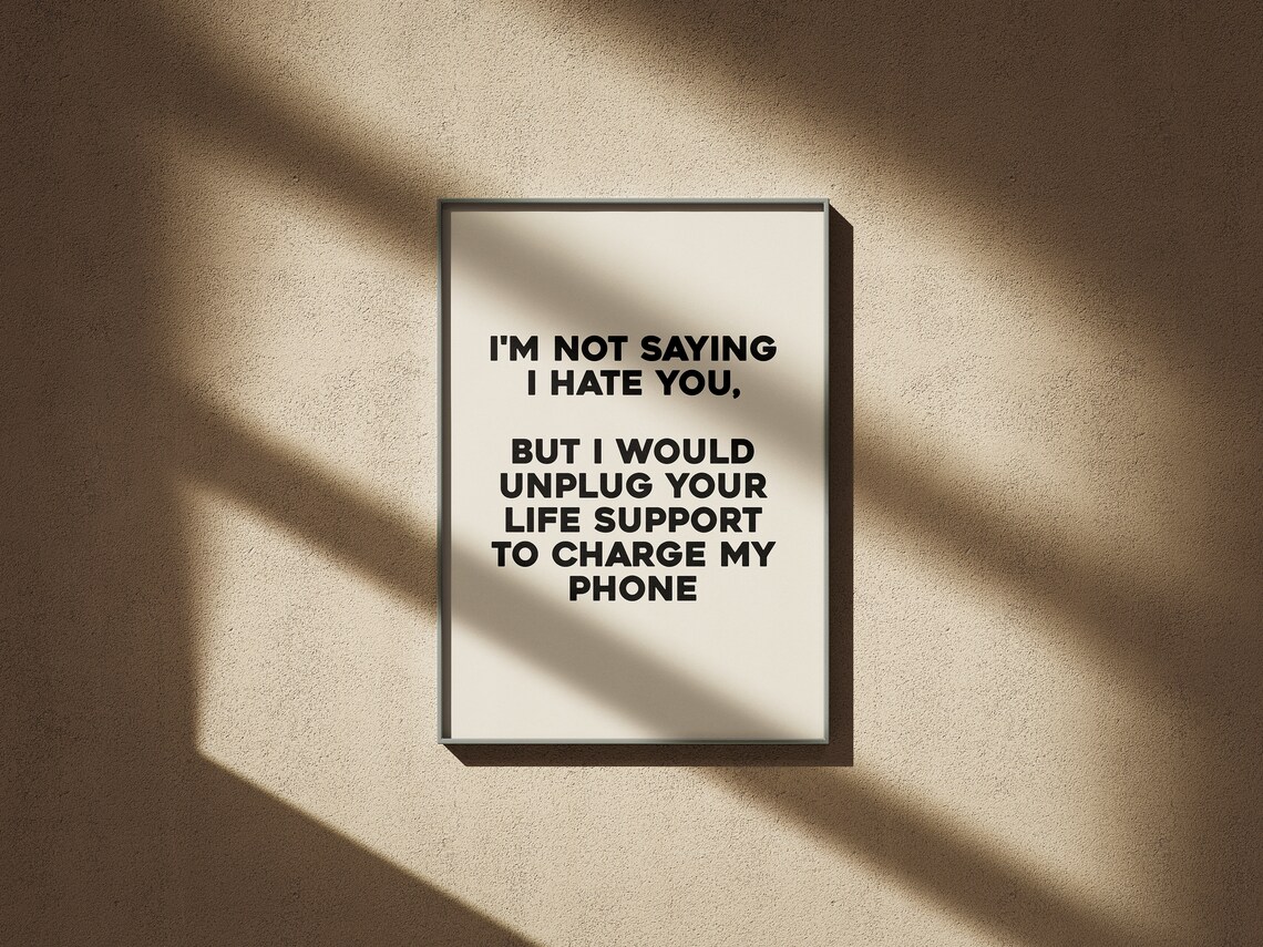 I Would Unplug Your Life Support Funny Sarcastic Poster Phone Quote Gift