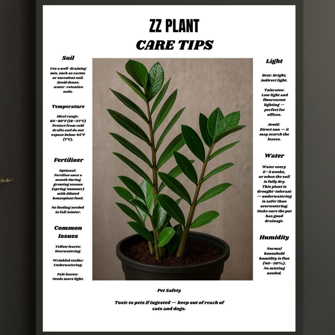 ZZ Plant Care Tips Botanical Guide Poster for Houseplant Lovers