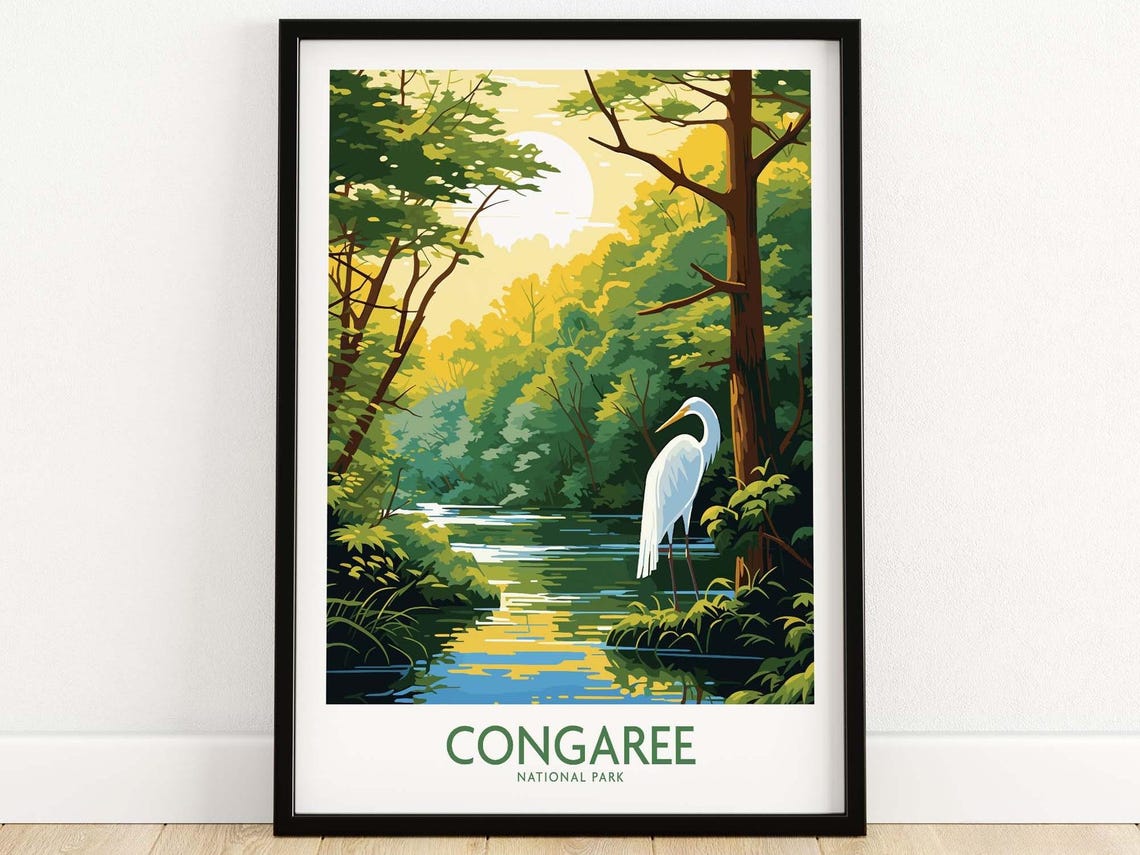 Congaree National Park South Carolina Egret Forest Illustrated Poster