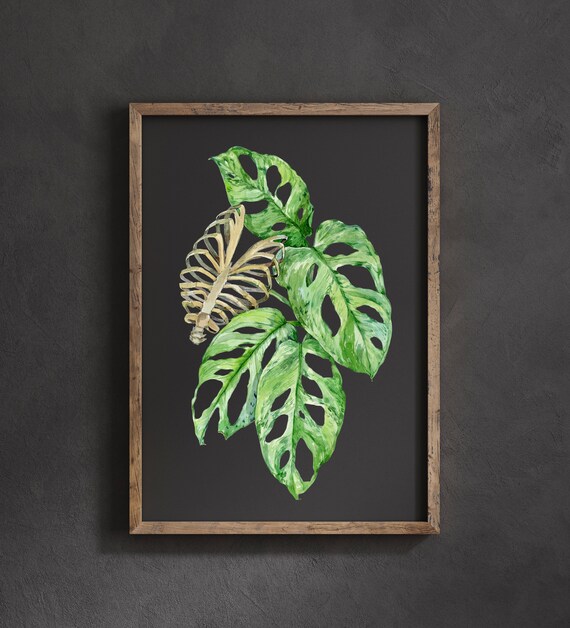 Adams Rib Poster Houseplant Lover Wall Decor Botanical Art Print Watercolor Botanical Plant Witch Plant Lovers Goth Plant Artwork