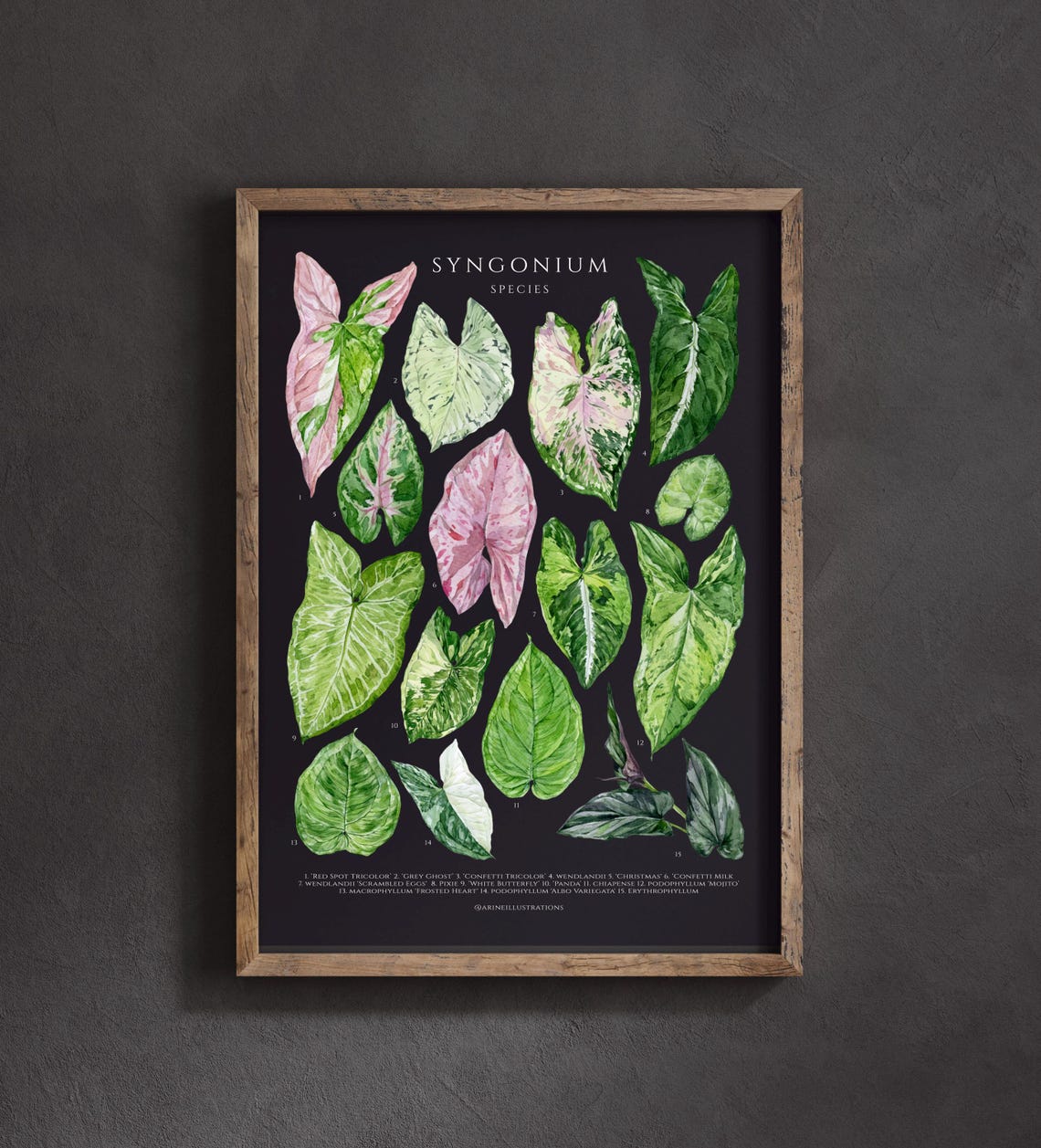 Syngonium Species Arrowhead Plant Leaf Chart Watercolor Poster - Image 4