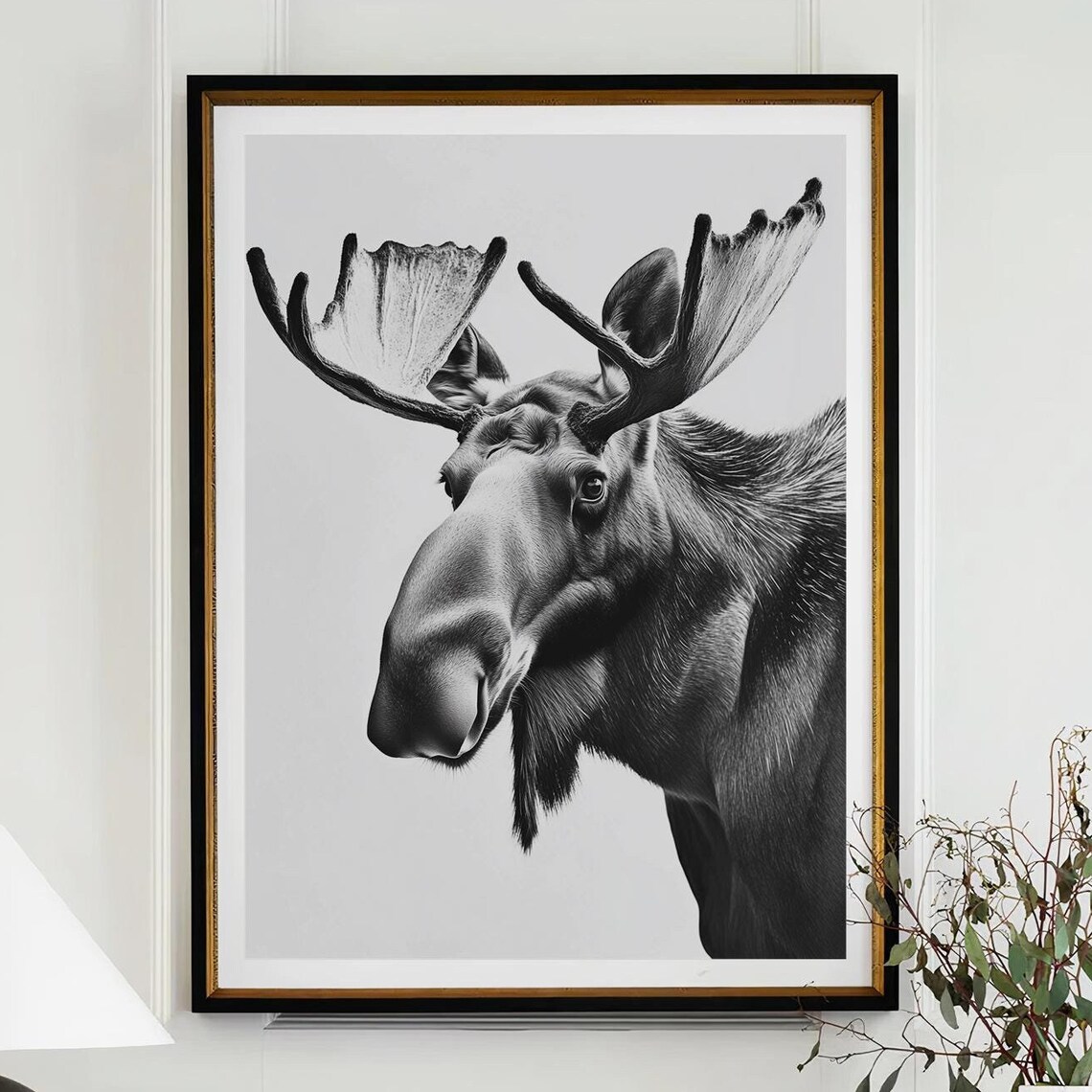 Black and White Moose With Large Antlers Portrait Photography Poster