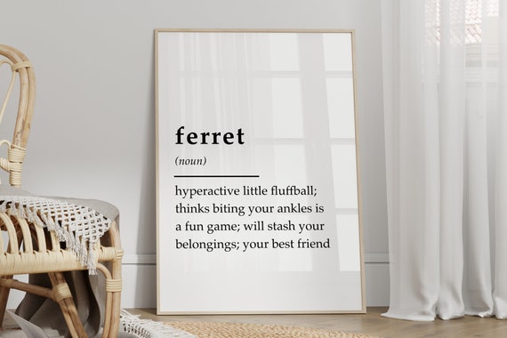Ferret Definition Ferret Print, Living Room Wall Art