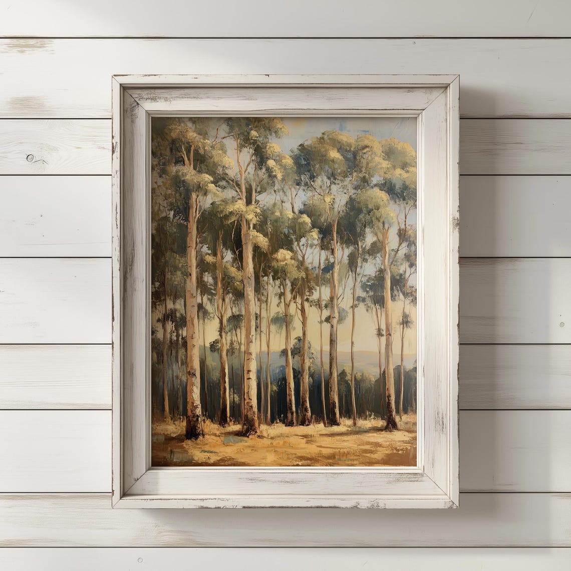 Eucalyptus Grove Dawn Tall Trees Golden Light Serene Nature Poster