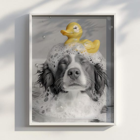 Sudsy Nova Scotia Retriever Cute Dog Art Poster Funny Bathroom Print Wall