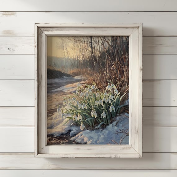 Snowdrops In Winter Snow Golden Hour Peaceful Floral Art Poster