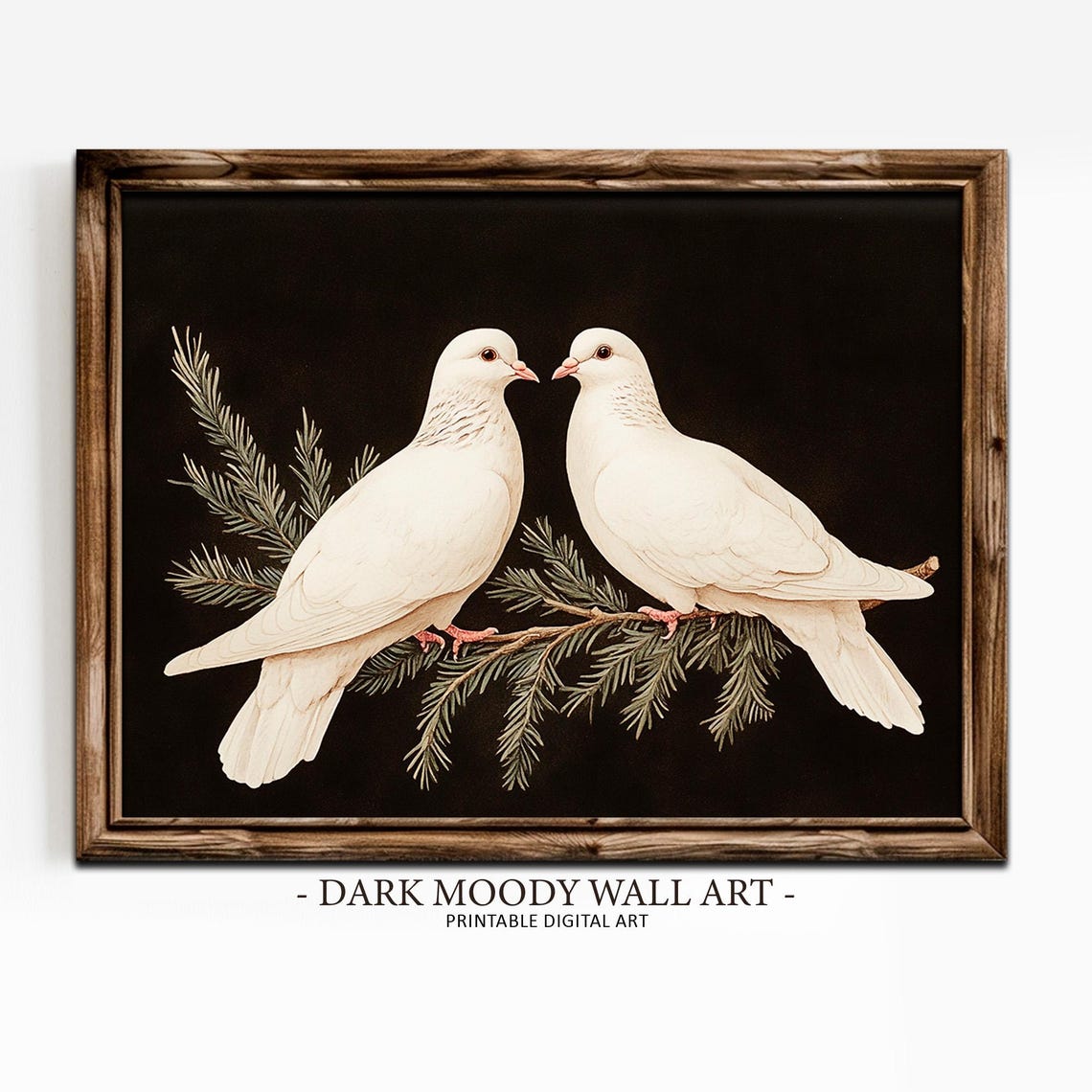 Two White Doves Christmas Winter Birds On Evergreen Branch Wall Art