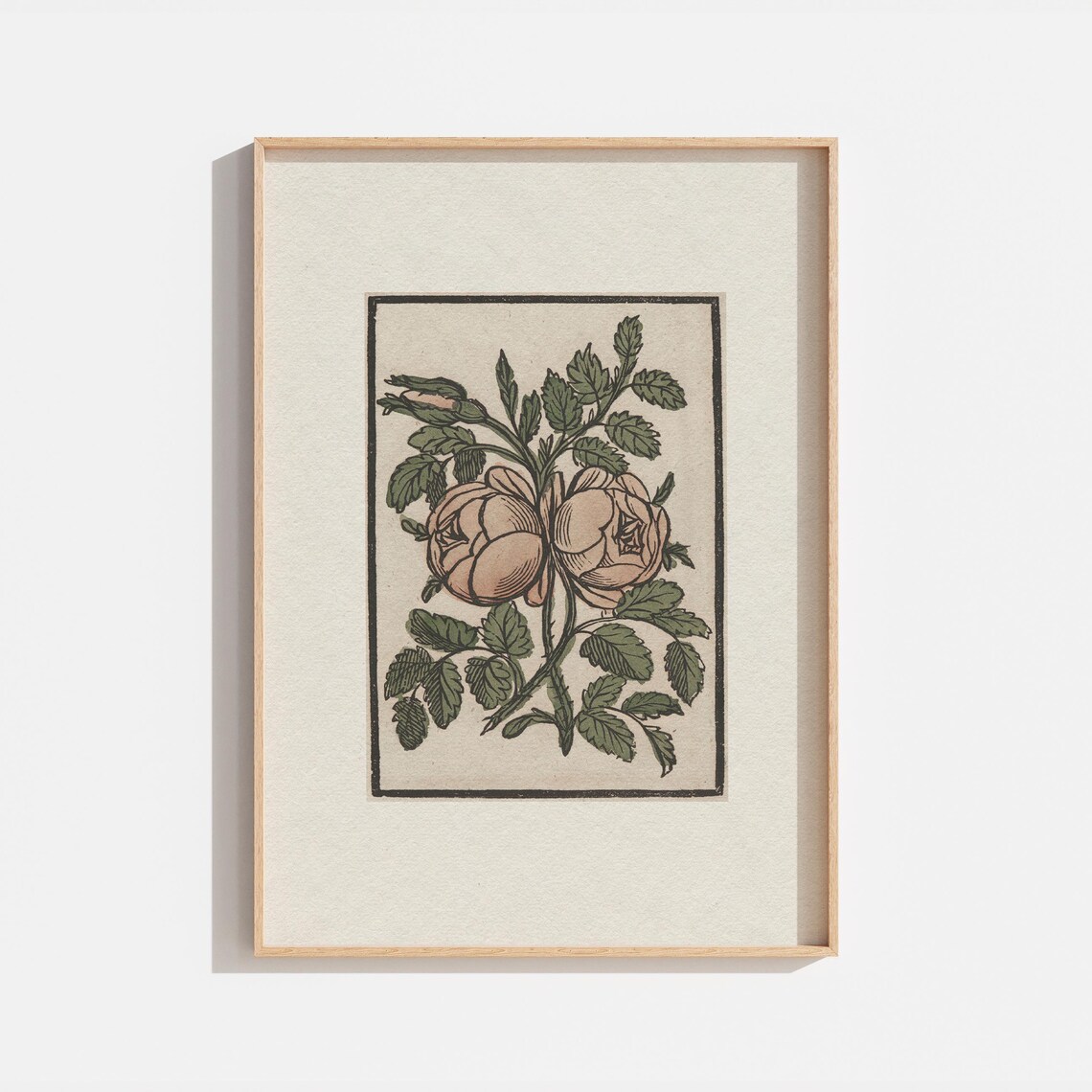 Vintage Botanical Floral Drawing Antique Roses Woodcut Wall Art