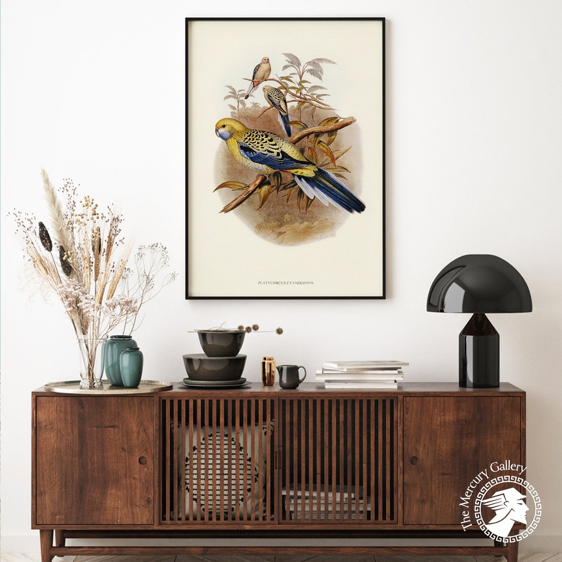 Vintage Blue-Cheeked Rosella Parrot Antique Bird Illustration Print - Image 3