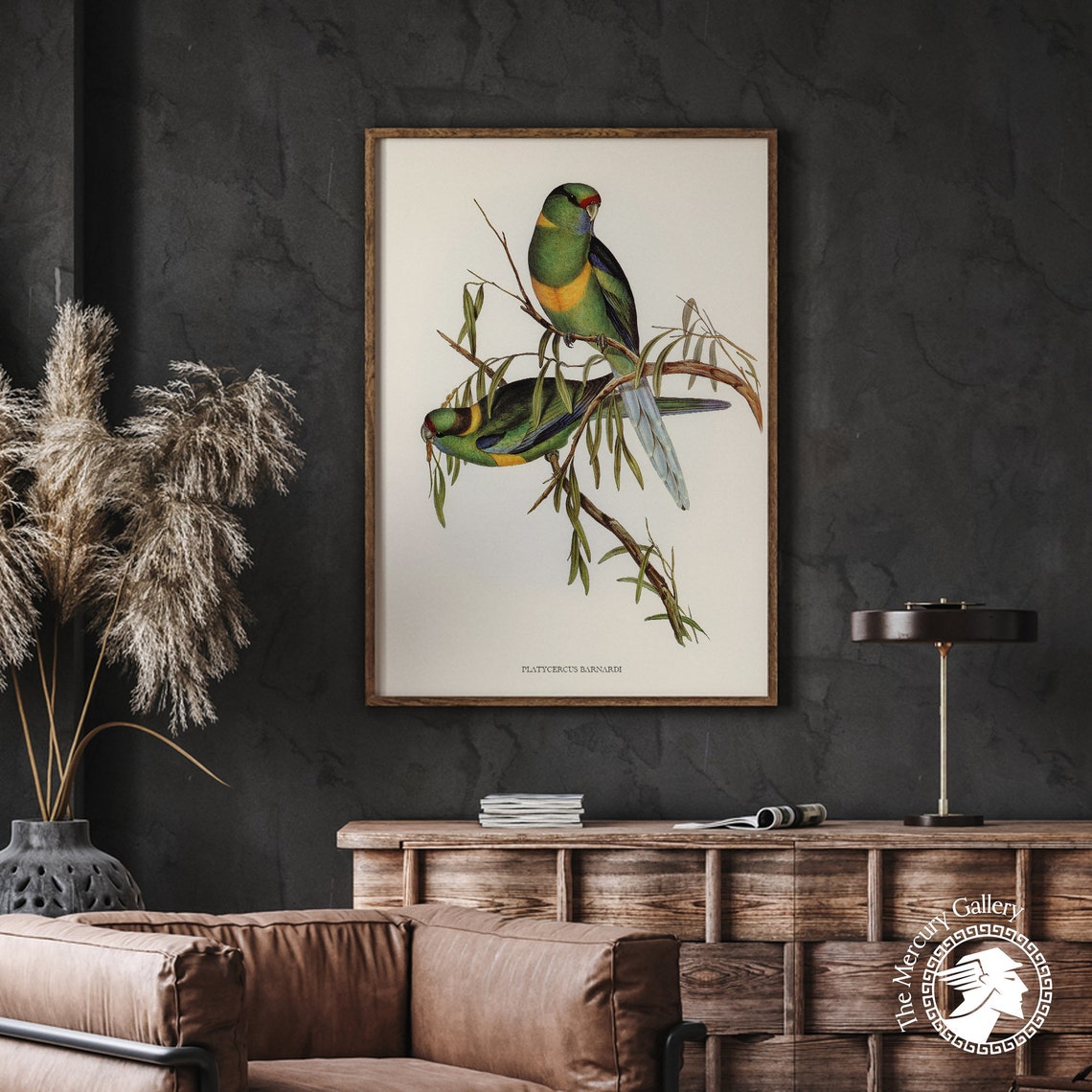 Vintage Barnard's Parakeet Pair Antique Australian Bird Art Print - Image 2