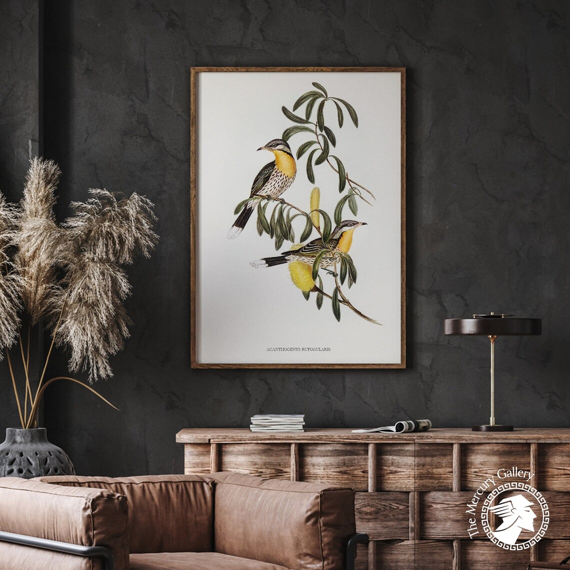 Spiny Cheeked Honeyeater Vintage Australian Bird Illustration Print - Image 2