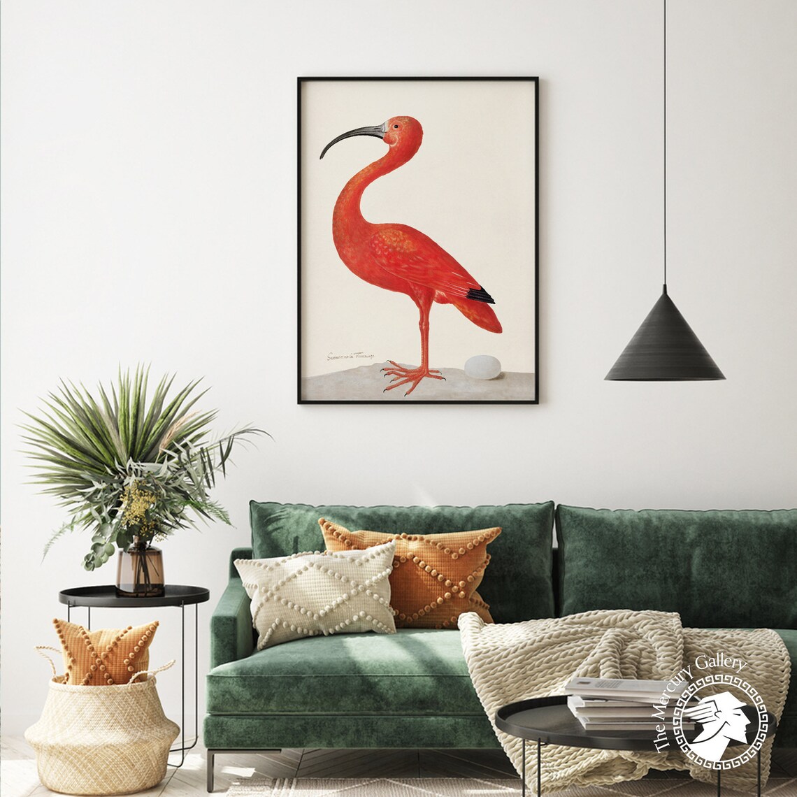 Scarlet Ibis Bird With Egg, Vintage Bird Art Print - Image 4