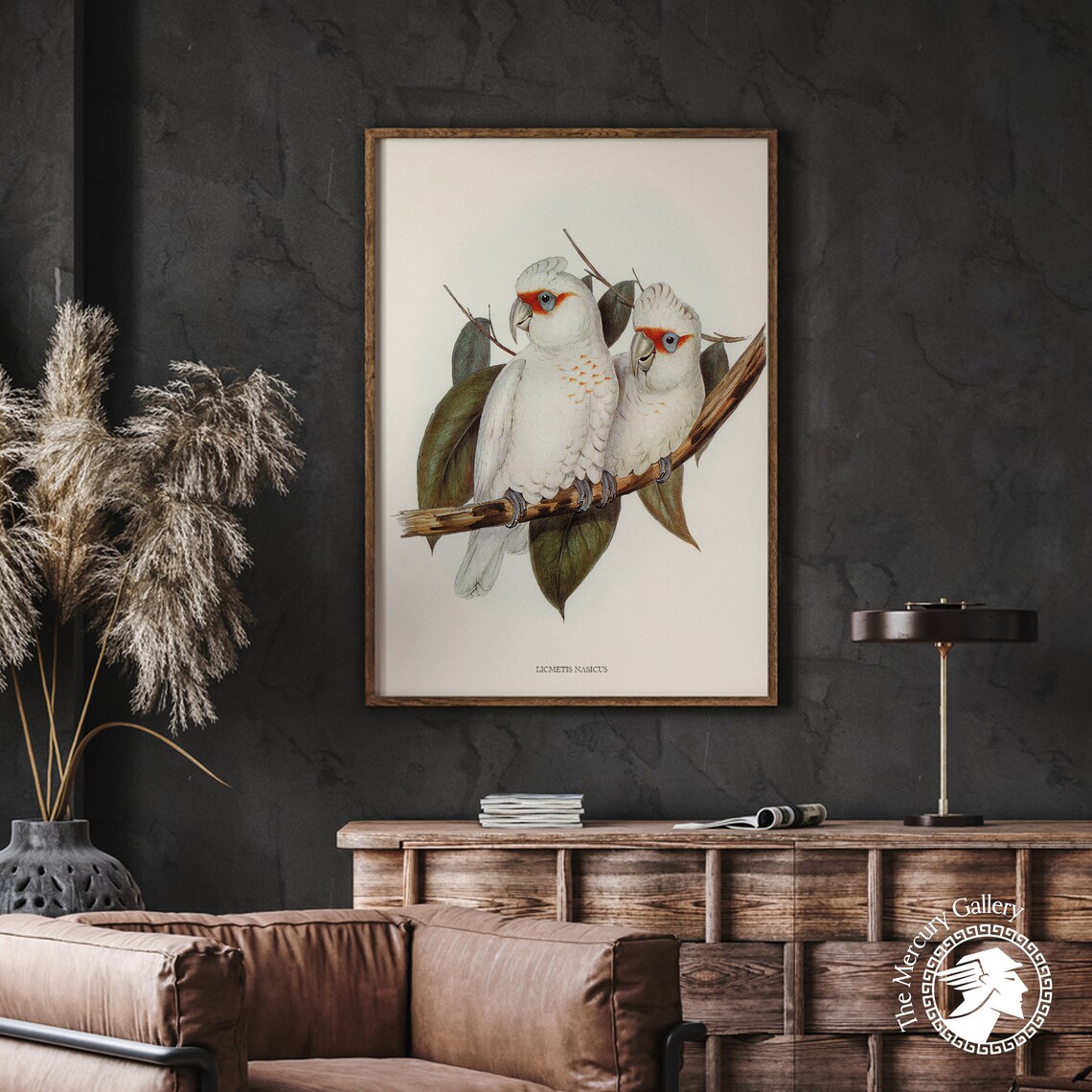 Vintage Long-Billed Corella Pair Antique White Cockatoo Art Print - Image 5