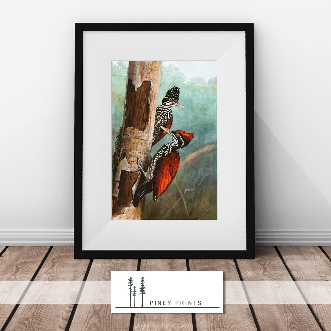 Crimson Backed Woodpecker Pair Vintage Naturalist Bird Painting Poster - Image 3