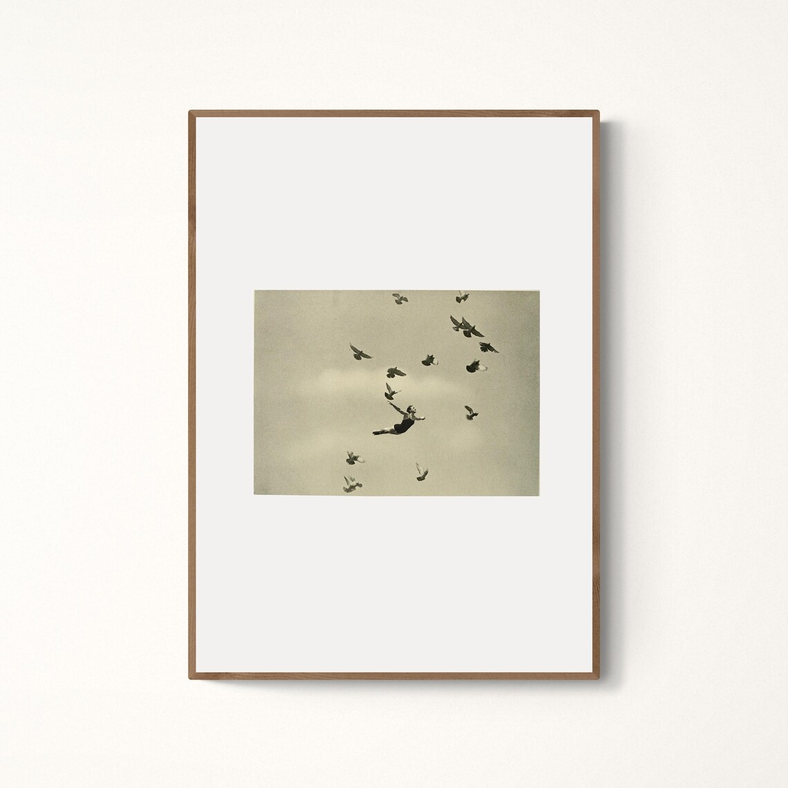 Birds Of Paradise Poster Collage Art Print
