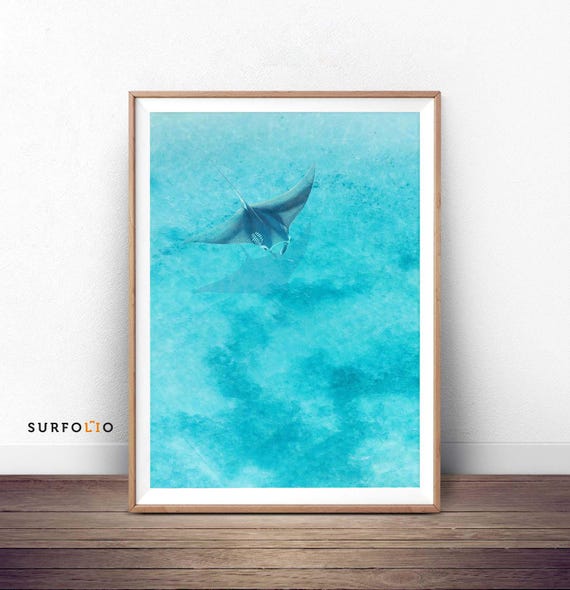 Aerial Manta Ray Art Print, Ocean Marine Life