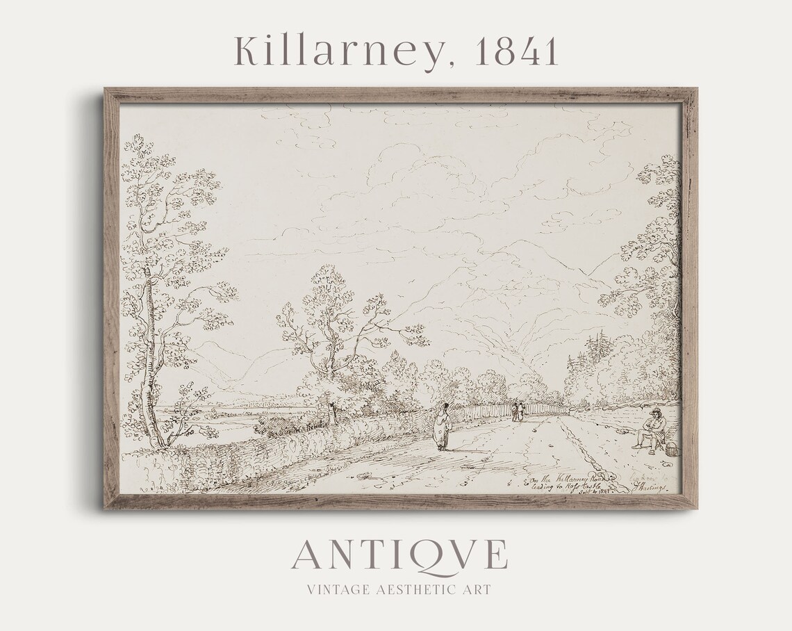 Historic Killarney 1841 Country Road To Ross Castle Ink Sketch Poster