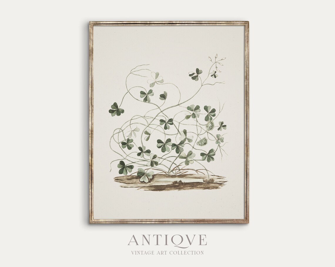 Vintage Shamrock Art Print, Irish Home Decor
