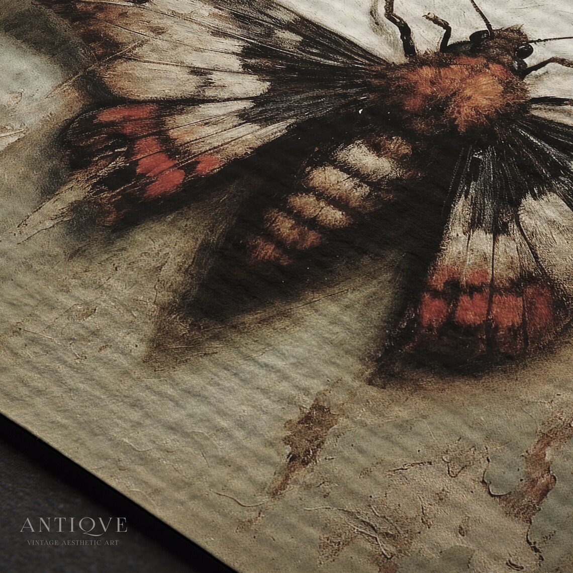 Moth On A Wall Light Academia Art Print - Image 4