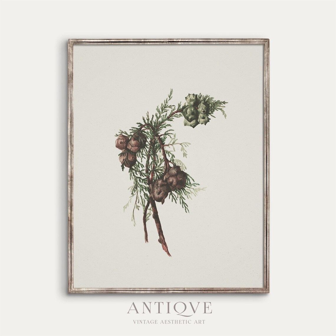 Winter Branch Christmas Botanical Art Print