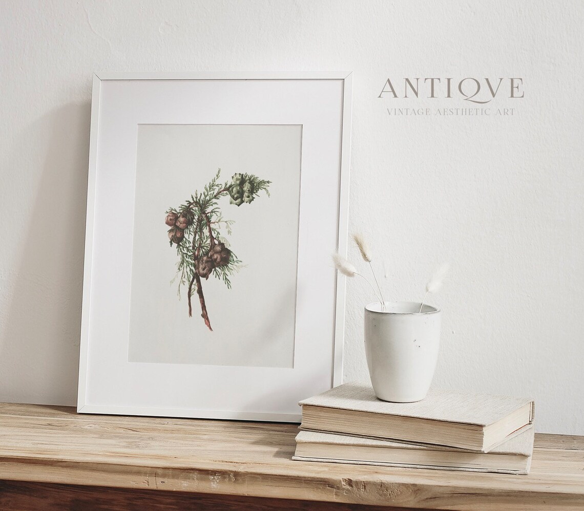 Winter Branch Christmas Botanical Art Print - Image 4