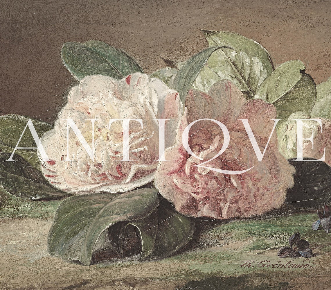 Antique Roses - Vintage Floral Art - Image 4
