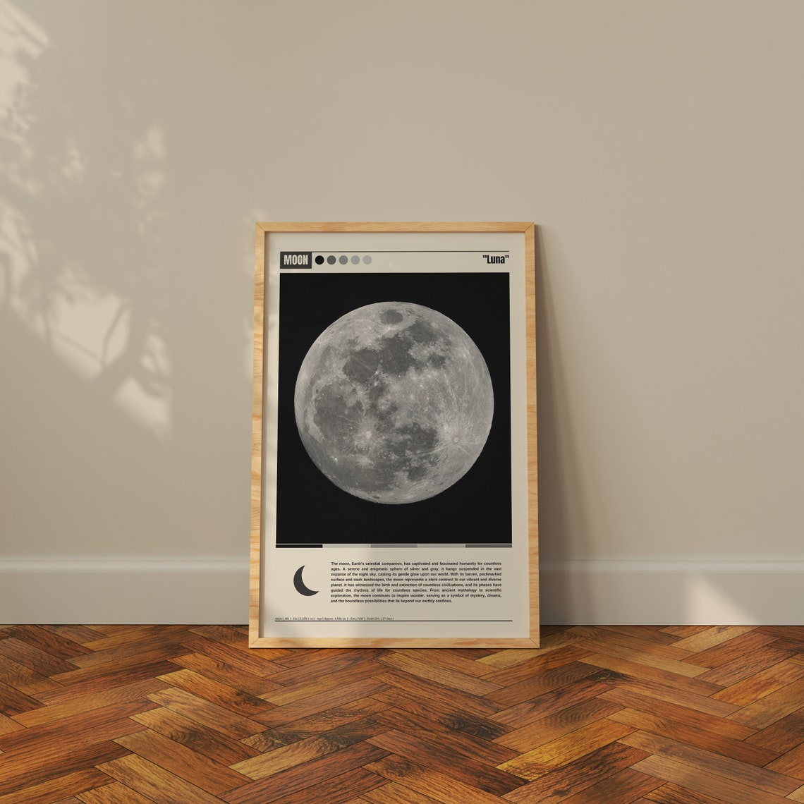 Moon Luna Cratered Full Moon Photography Minimalist Space Poster - Image 3