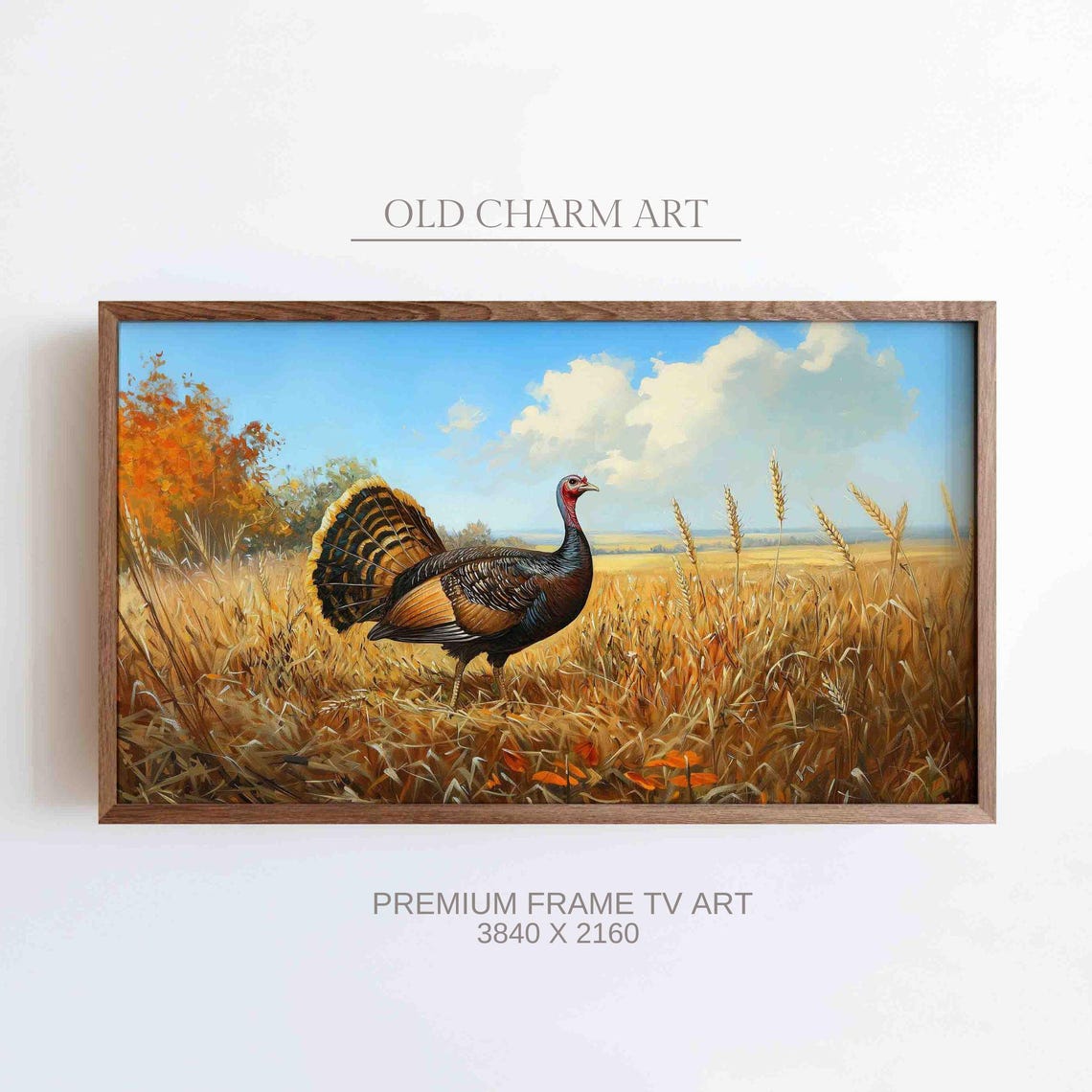 Wild Turkey In A Golden Wheat Field Under A Summer Sky Poster