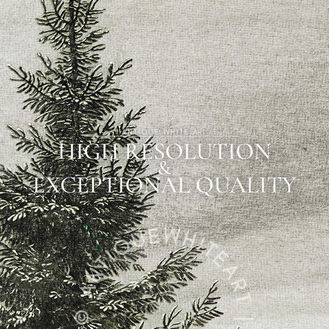 Vintage Winter Fir Trees Art Print, Farmhouse Christmas - Image 3