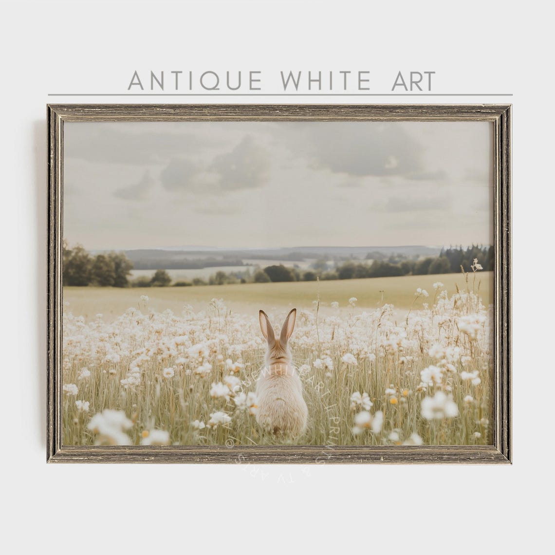 White Bunny Wildflower Field Back View Easter Spring Vintage Art Print