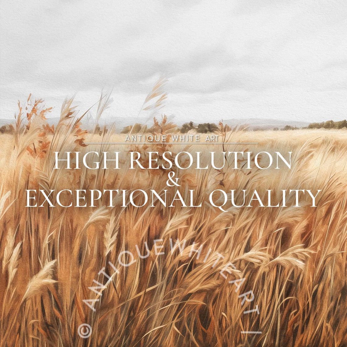 Windswept Golden Wheat Field Gray Sky Vintage Farmhouse Wall Art Print - Image 4