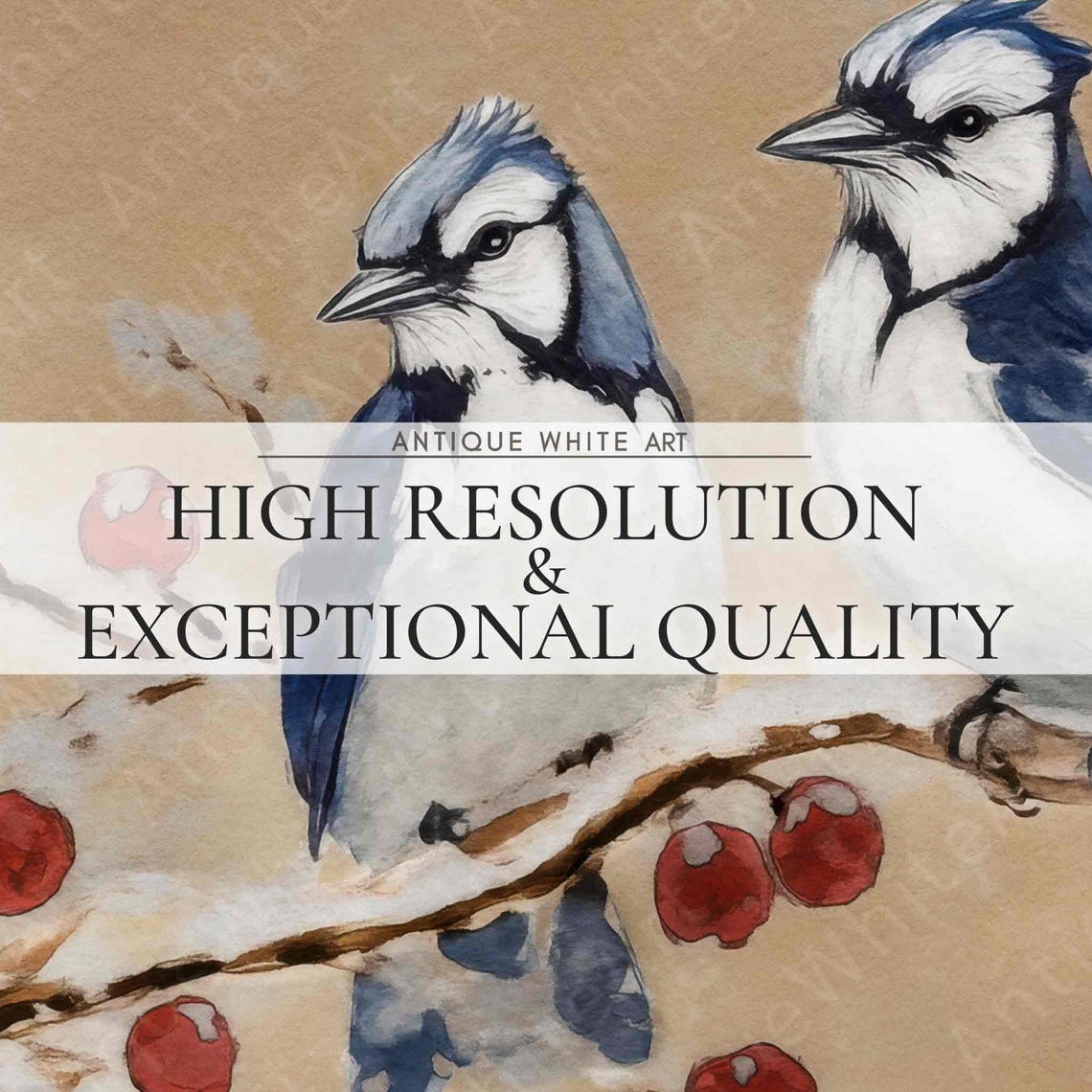 Blue Jay Pair On Snowy Berry Branch Winter Bird Wall Art Print - Image 4