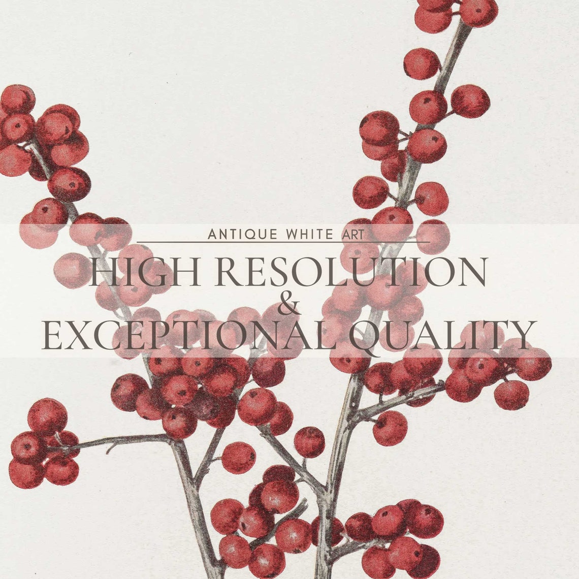 Red Winterberry Branch Minimal Botanical Vintage Christmas Wall Poster - Image 4