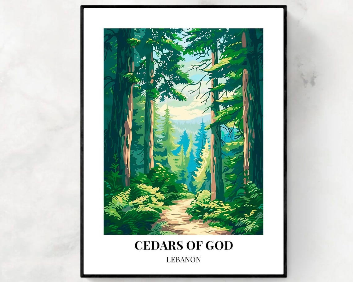 Cedars of God Lebanon Sunlit Green Cedar Forest Path Travel Poster