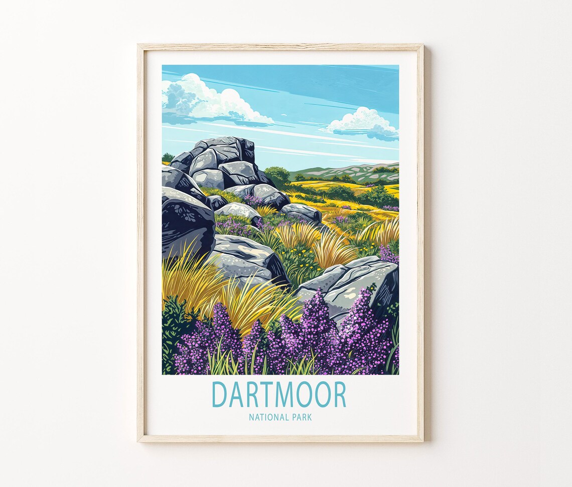 Dartmoor National Park Granite Tors Above Purple Heather and Golden Grass Poster