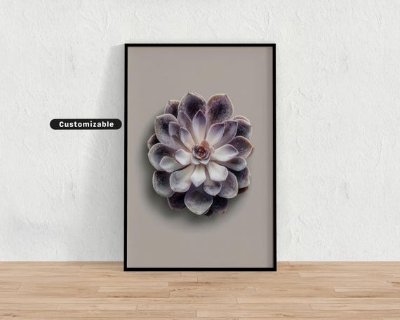 Succulent Top View In Centered Composition With Neutral Tones Minimal Botanical Wall Art Nature Print