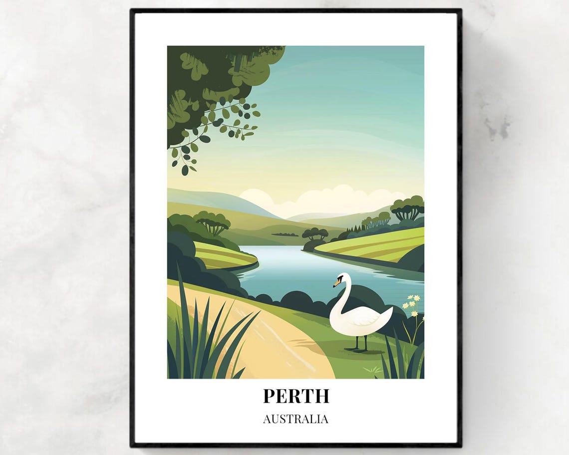 Perth Australia White Swan Calm Lake Morning Light Wildlife Poster