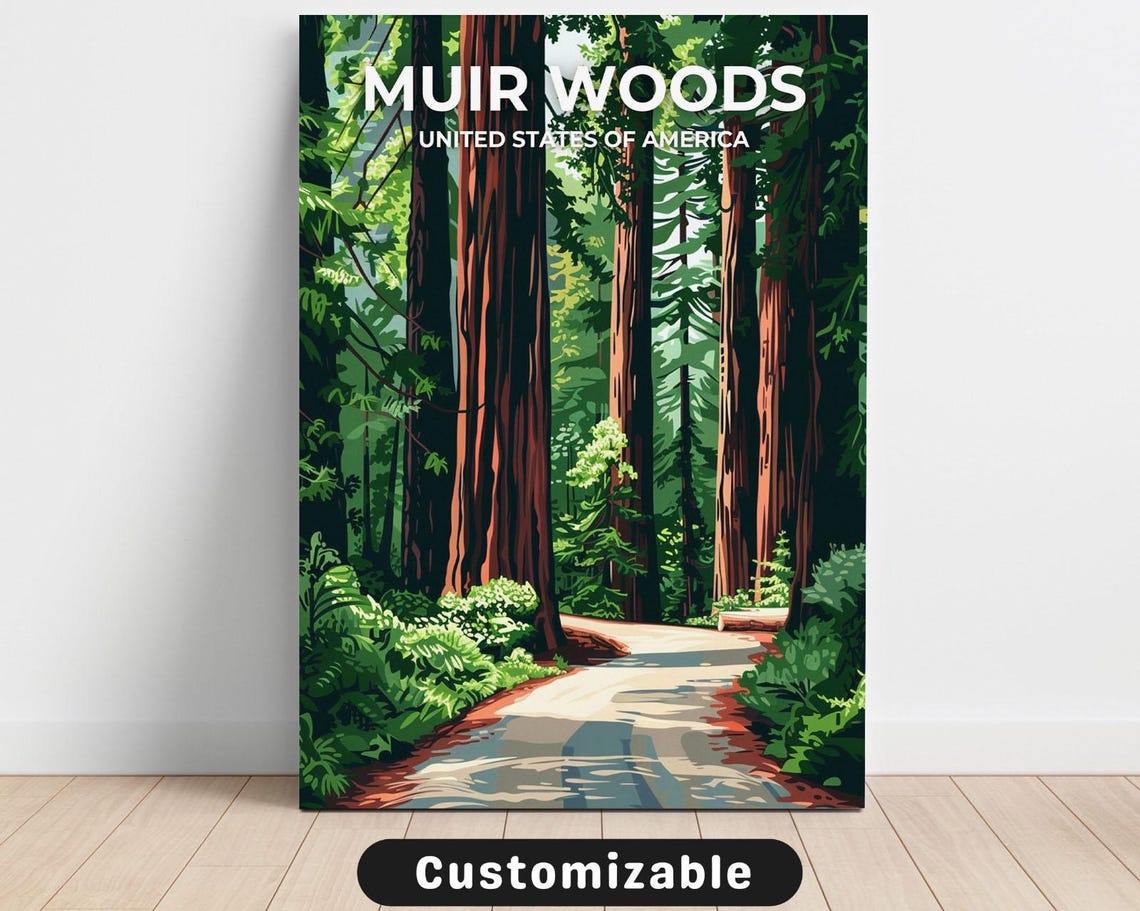 Muir Woods Towering Redwoods Forest Path Retro Travel Poster