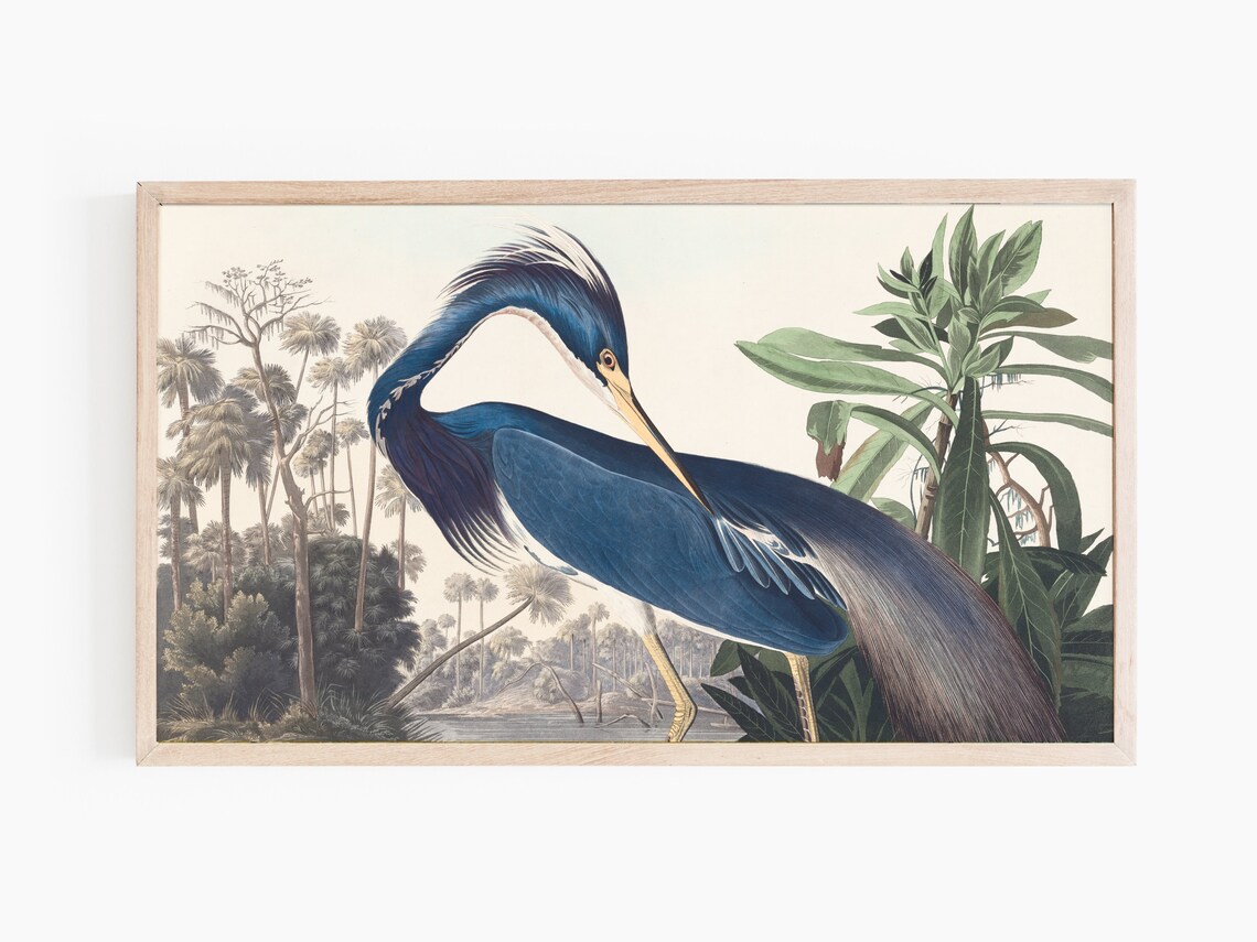 Blue Heron Vintage Art Print for Frame TV - Image 3