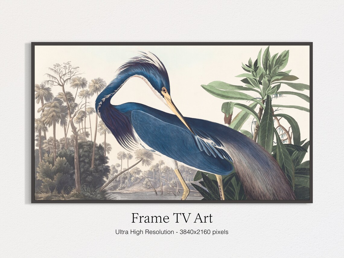 Blue Heron Vintage Art Print for Frame TV