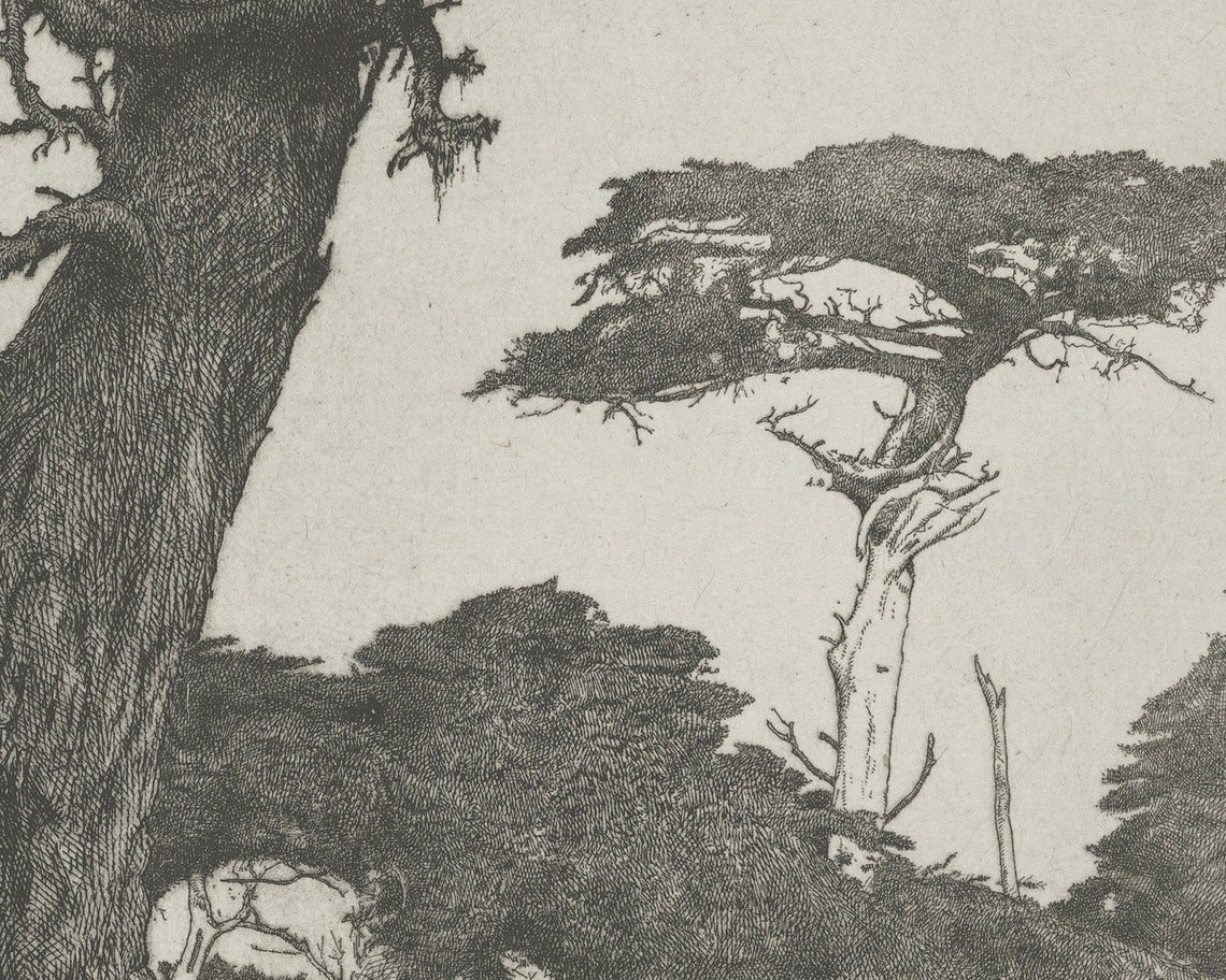 Windswept Cypress Trees Monochrome Engraving Vintage Nature Art Print - Image 3